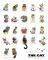 POSTER THE CAT COLOUR COMPILATION 40.6 X 50.8...