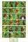 POSTER THE MUPPETS KERMIT COLLAGE (61X91.5CM)