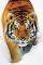 POSTER TIGER SNOW (61X91.5CM)