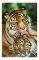 POSTER TIGER - MOTHER'S LOVE (61X91.5CM)