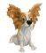 LP  RENE (PAPILLON)