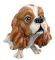 LP TRUDI (KING CHARLES) LP TRUDI (KING CHARLES)