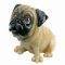 LP PRINCE (PUG)
