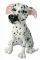 SAFFY (DALMATIAN)