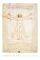 POSTER LEONARDO DAVINCI'S VITRUVIAN MAN 61 X ...