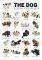POSTER THE DOG PUPPIES 61 X 91.5 CM