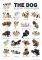 POSTER THE DOG PUPPIES (61X91.5CM)