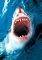 POSTER GREAT WHITE SHARK 61 X 91.5 CM