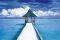 POSTER SEA 61 X 91.5 CM