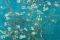 POSTER VAN GOGH-ALMOND BLOSSOM SAN RAMY 61 X ...