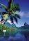 POSTER MOORE A ISLAND 61 X 91.5 CM