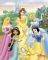 POSTER DISNEY PRINCESSES 40.6 X 50.8 CM