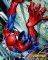 POSTER SPIDER-MAN (CLIMBING) 40.6 X 50.8 CM