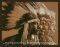 POSTER NATIVE WISDOM (40.6X50.8CM)