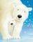 POSTER FLUFFY POLAR BEARS 40.6 X 50.8 CM