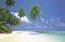 POSTER MALDIVE MORNING (40.6X50.8CM)