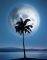 POSTER DREAMLAND 40.6 X 50.8 CM