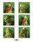 POSTER KERMIT BOXES 40.6 X 50.8 CM