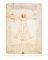 POSTER VITRUVIAN MAN 40.6 X 50.8 CM