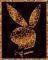 POSTER PLAYBOY FUR 40.6 X 50.8 CM