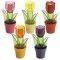 �����������  TULIPA  ���  15CM