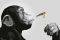 POSTER STEEZ SMOKING 61 X 91.5 CM