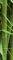    WALLSTRIPES  BAMBOO 2044...