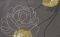 ���������� PETRANIS �� 490 ������� ����������...