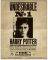 POSTER HARRY POTTER SIRIUS BLACK WANTED (61X9...