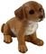  ESPIEL  DACHSHOUND  ...