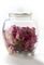    KILNER  (2L)