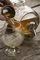  - KILNER  (1L)