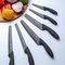   VINERS ASSURE INOX (20CM)