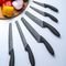   VINERS ASSURE INOX (20CM)