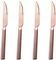 STEAK DINOX PORTO COOPER SHINY   18/0 5MM 21.5CM  4 