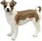   ESPIEL JACK RUSSELL TERRIER ...