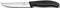 ������� ������� VICTORINOX SWISS CLASSIC GOUR...