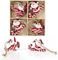 �������� CHRISTMAS COLLECTION ������� ��� ���...