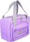 ���������� ������ ������� AMBER AM3010 PURPLE BEE (6L)