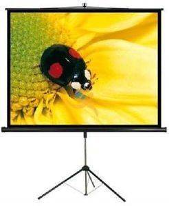 MAXBALL PSCB96 TRIPOD 96\'\' PROJECTION SCREEN MAXBALL PSCB96 TRIPOD 96\'\' PROJECTION SCREEN