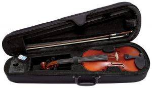 GEWAPURE ΣΕΤ ΒΙΟΛΑΣ EW 33CM GEWAPURE ΣΕΤ ΒΙΟΛΑΣ EW 33CM