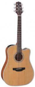   TAKAMINE GD20CE-NS NATURAL