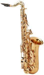 ΣΑΞΟΦΩΝΟ GEWAPURE ROY BENSON ALTO ΓΙΑ ΠΑΙΔΙΑ E-FLAT AS-201 ΣΑΞΟΦΩΝΟ GEWAPURE ROY BENSON ALTO ΓΙΑ ΠΑΙΔΙΑ E-FLAT AS-201