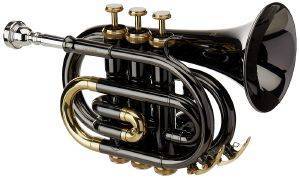 ΤΡΟΜΠΕΤΑ GEWAPURE ROY BENSON ΤΣΕΠΗΣ B-FLAT PT-101K ΤΡΟΜΠΕΤΑ GEWAPURE ROY BENSON ΤΣΕΠΗΣ B-FLAT PT-101K