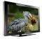 SAMSUNG LE70F96B LCD TV 70''