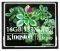 KINGSTON CF/4GB-S2 4GB COMPACT FLASH ELITE PR...