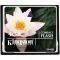 KINGSTON CF/4GB 4GB COMPACT FLASH