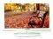 TELEFUNKEN TF22-2500 22\'\' LCD TV