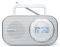 BLAUPUNKT DESKTOP/PORTABLE/AC/DC DIGITAL PLL ...