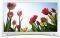 SAMSUNG 22F5410 22'' LED TV FULL HD WHITE
